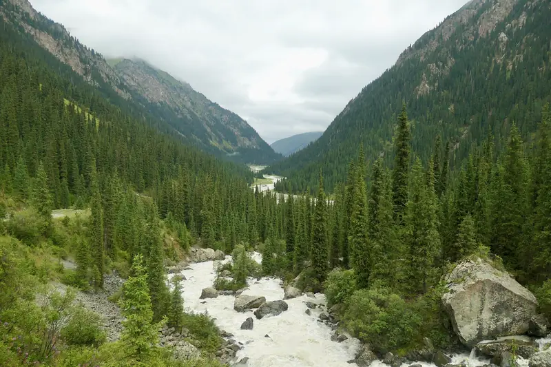 Large rivière dans une vallée entre des versants couverts d’épicéas