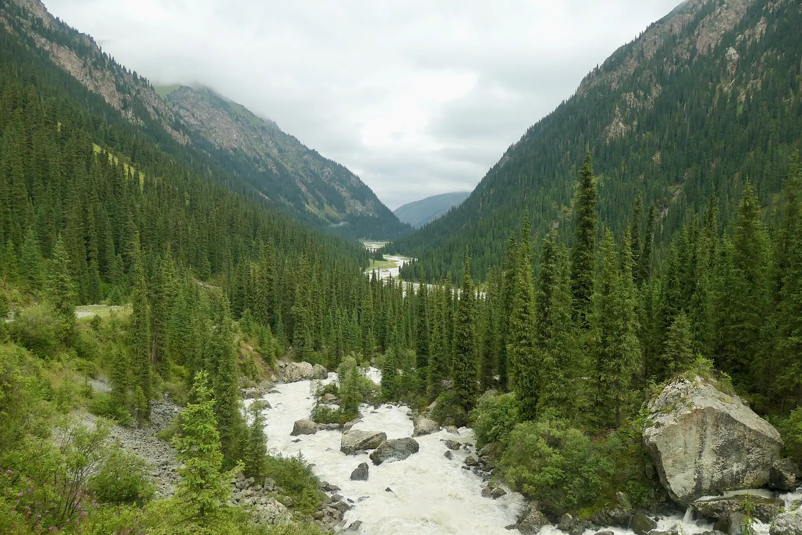 Large rivière dans une vallée entre des versants couverts d’épicéas