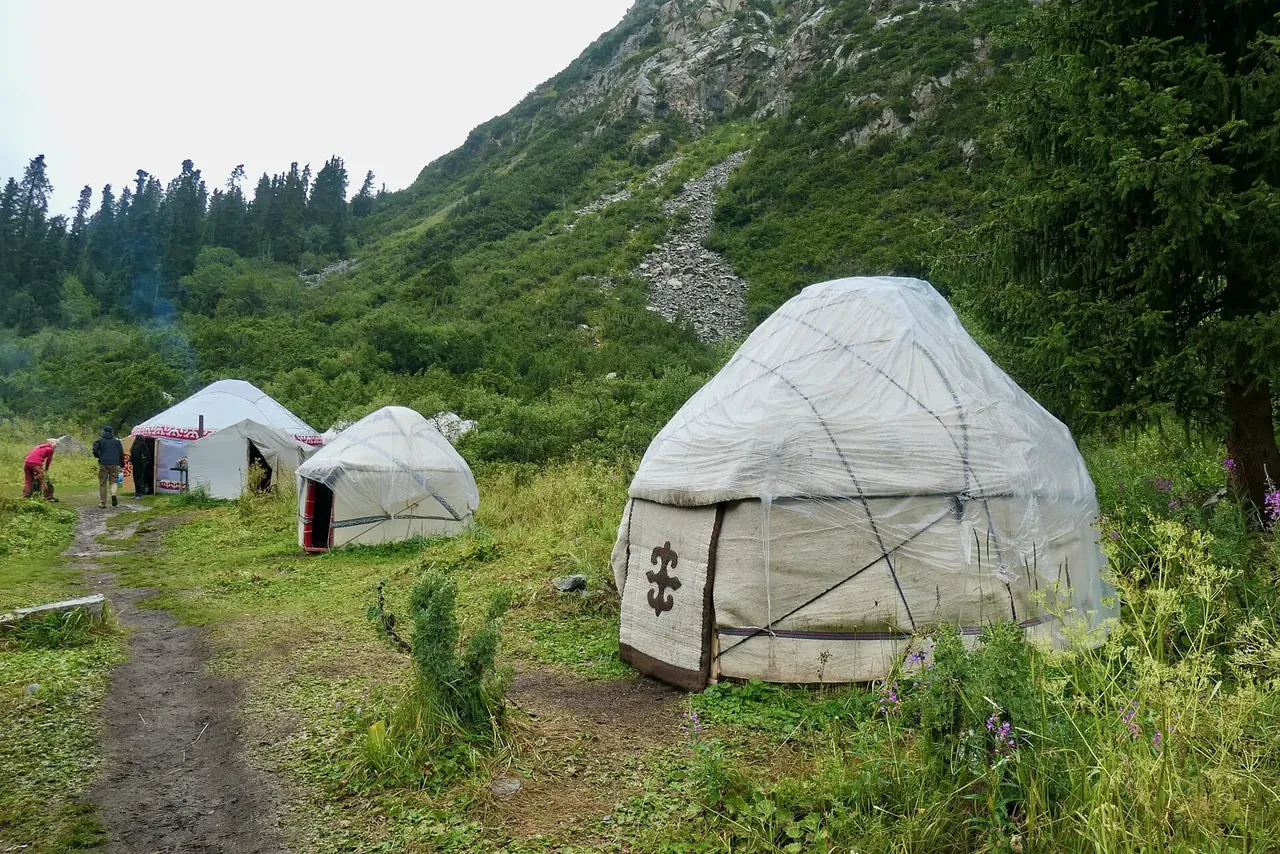 Yourtes blanches dans une clairière herbeuse près du sentier