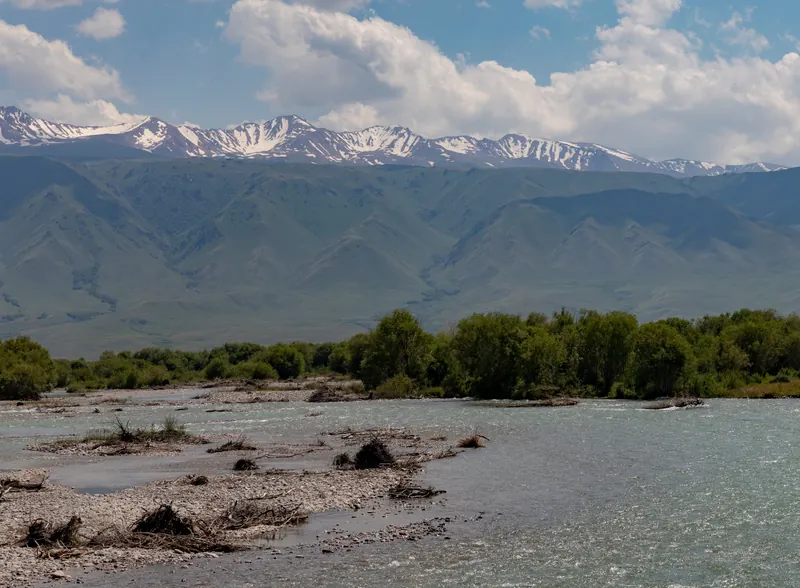 La pianura alluvionale rocciosa del fiume si avvicina a cespugli verdi, dietro di loro si alza un crinale con cime innevate.