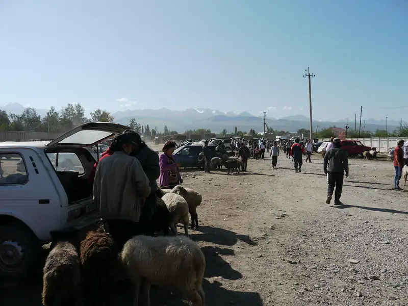 Plaza polvorienta con coches y ovejas, montañas nevadas al fondo