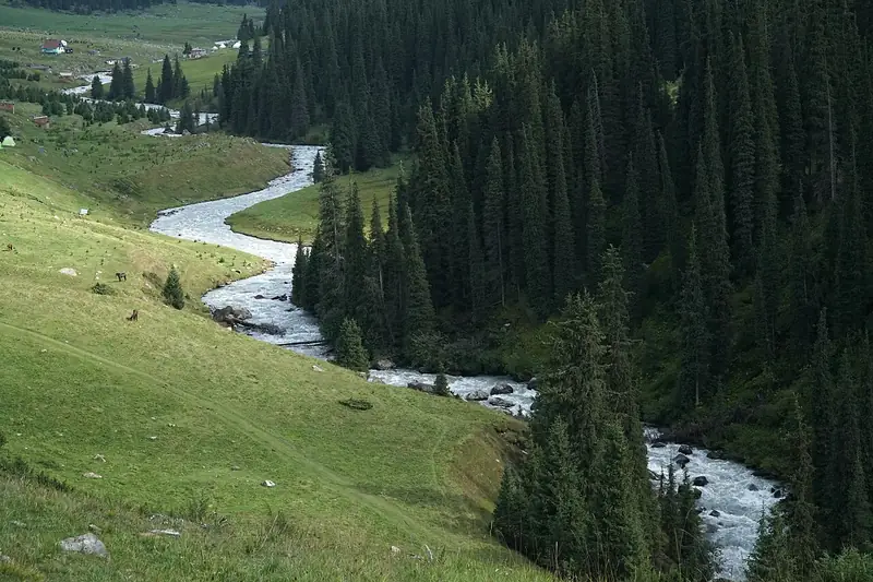El río serpentea a través de un valle verde bajo una pendiente de abetos