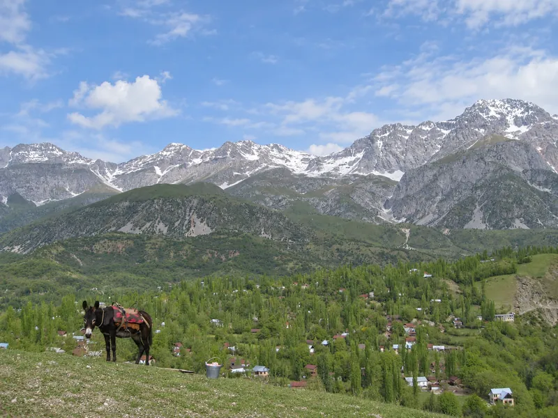 Arslanbob in primavera: sono conservati l’inquadratura, l’ambiente circostante e tutti i dettagli visibili.
