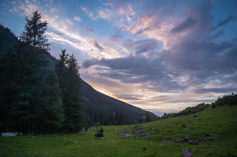 Ein Fichtental unter rosa Abendwolken, Steine liegen verstreut auf der grünen Wiese.