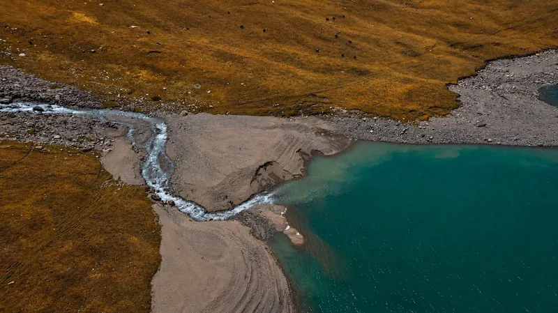Bäche verteilen sich entlang des felsigen Deltas und fließen in das blaue Wasser eines Bergsees in Herbsttönen.