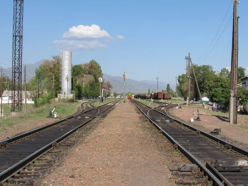 Gleise verzweigen sich bei Bahnhofsbauten, daneben Bäume und hohe Masten.