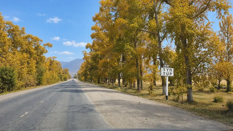 Die Zufahrtsstraße nach Tüp im Herbst; Schild, Straße, Bäume und das Auto in der Ferne sind erhalten.
