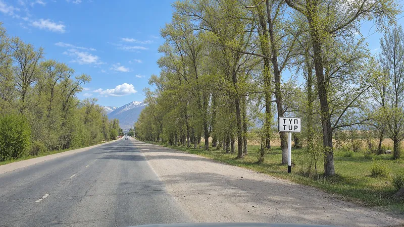 Die Zufahrtsstraße nach Tüp im Frühling; Schild, Straße, Bäume und das Auto in der Ferne sind erhalten.