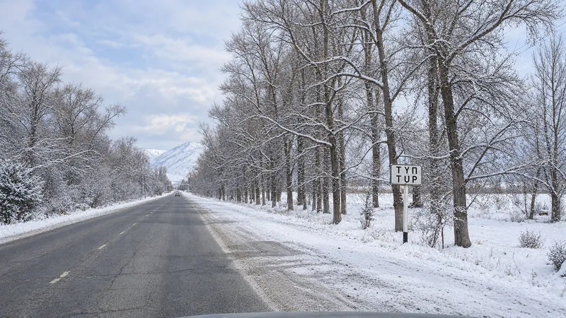Die Zufahrtsstraße nach Tüp im Winter; Schild, Straße, Bäume und das Auto in der Ferne sind erhalten.