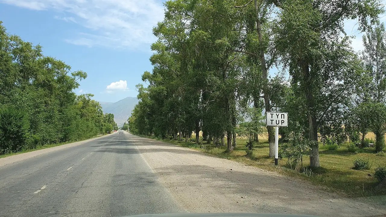 Gerade Straße zwischen grünen Bäumen, rechts ein Schild mit dem Namen Tüp, in der Ferne Berge.