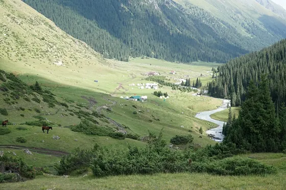 Altyn-Arachan
