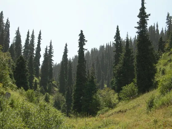Gorges de Karakol